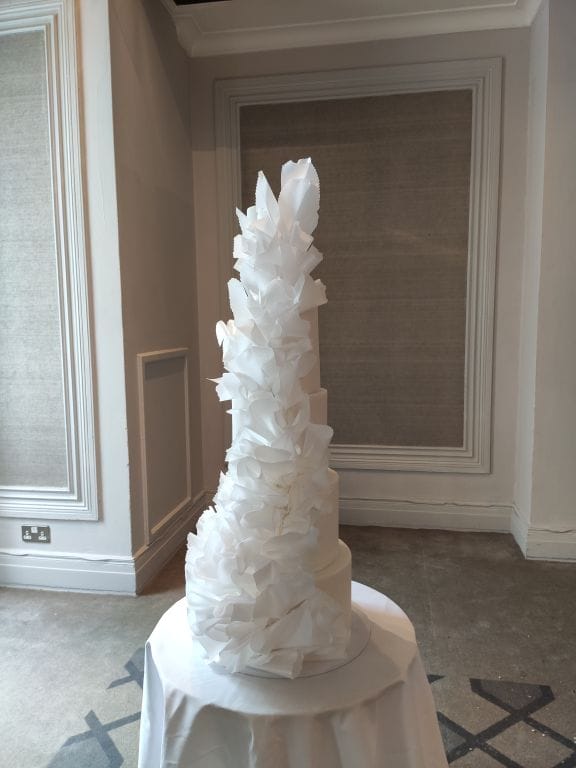 Cake — 2024 · 036