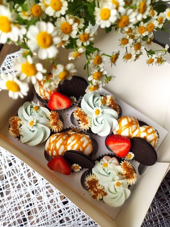 Cake — 2024 · 033